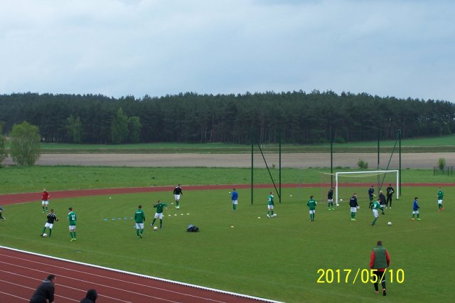 lzp 13